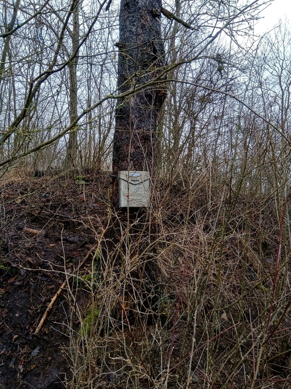 Hledejte bonusovou kapitolu knihy Ztracen� na Nevd�ku