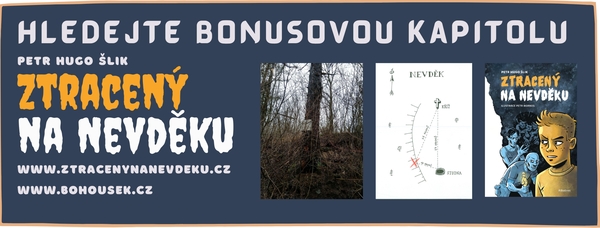 Hra Ztracen� na Nevd�ku 